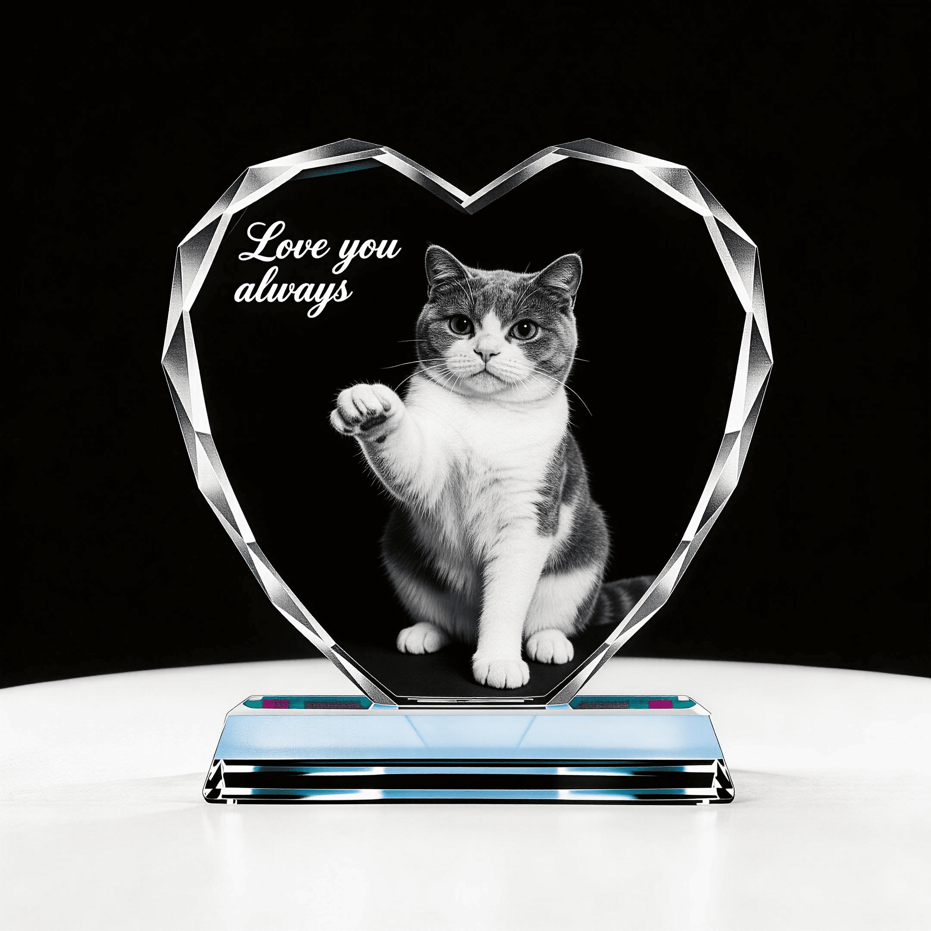 personalised pet Memorial Gift 3D K9 crystal frame for dog and cat