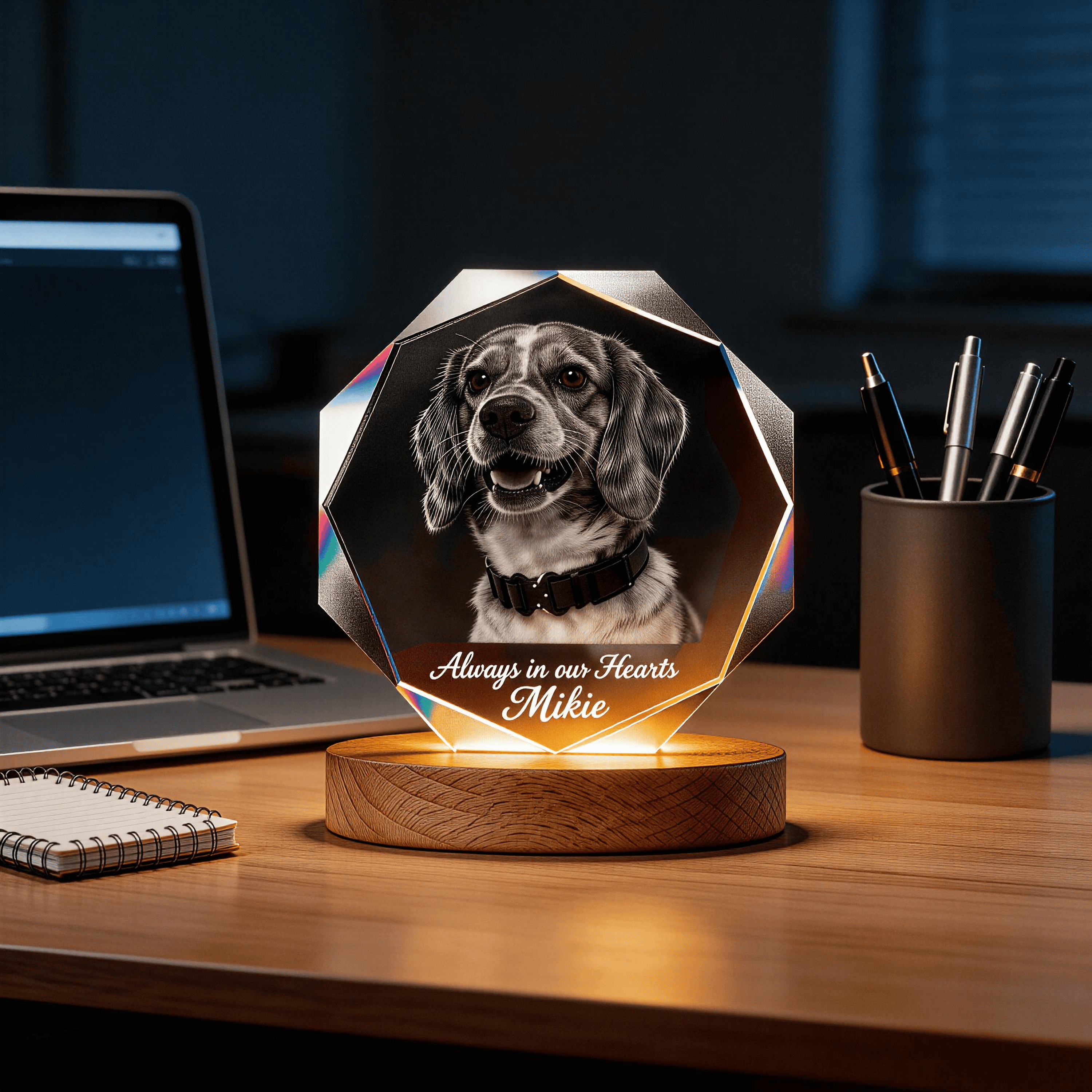 personalised dog Memorial Gift 3D K9 crystal frame 