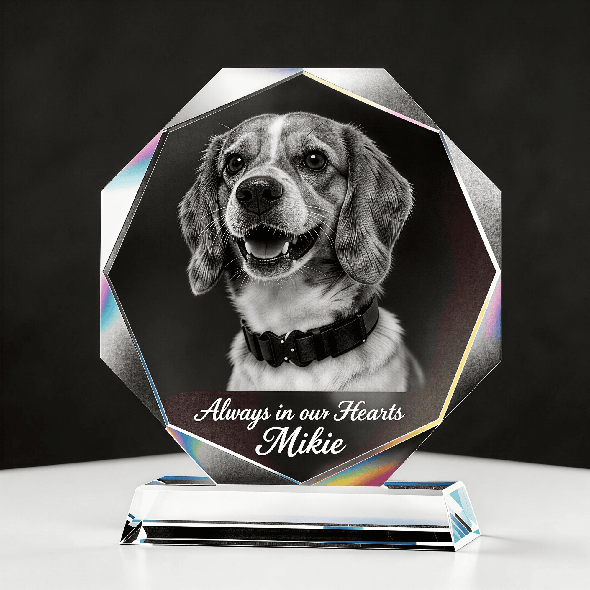 personalised lover Memorial Gift 3D K9 crystal frame dog photo