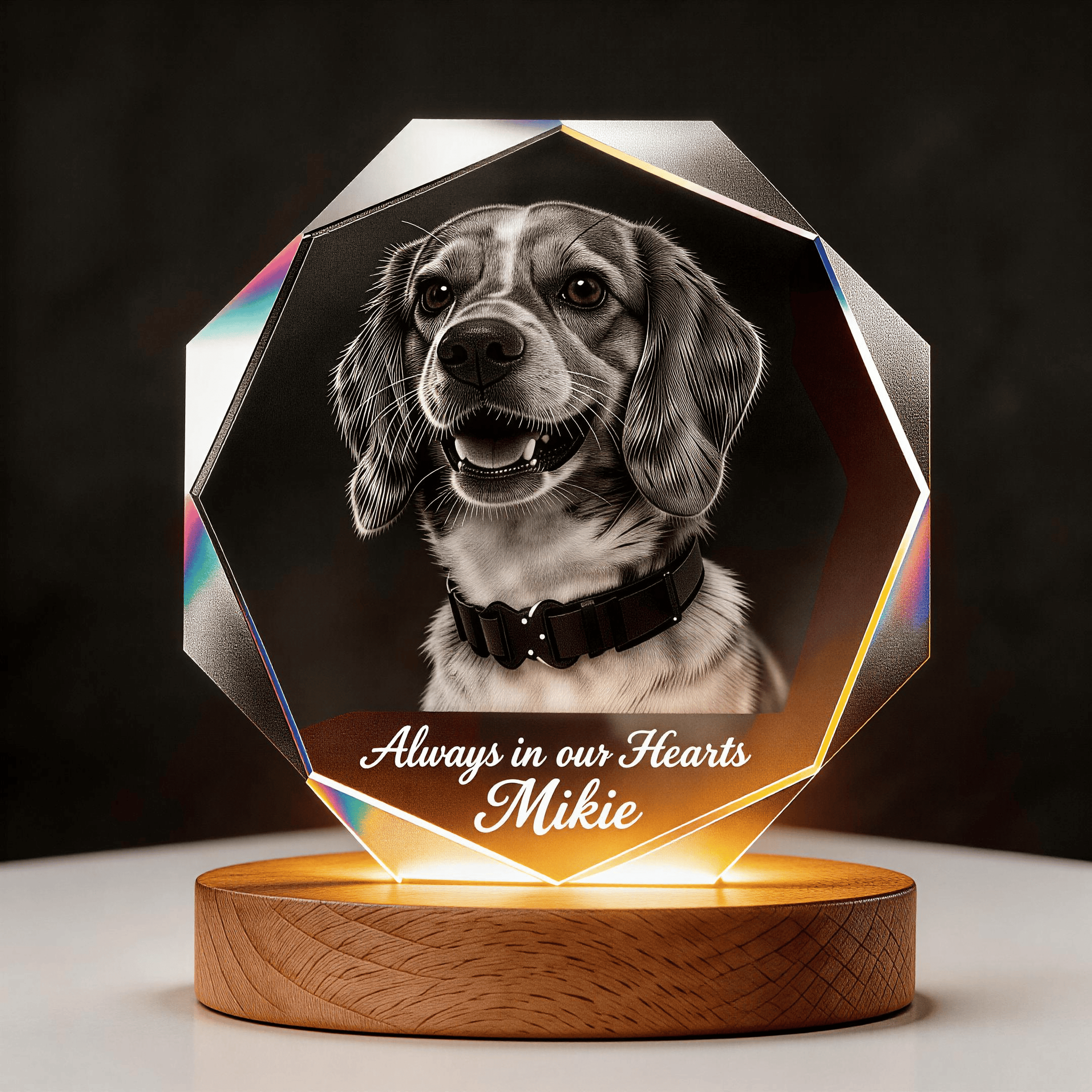 personalised pet Memorial Gift 3D K9 crystal frame 