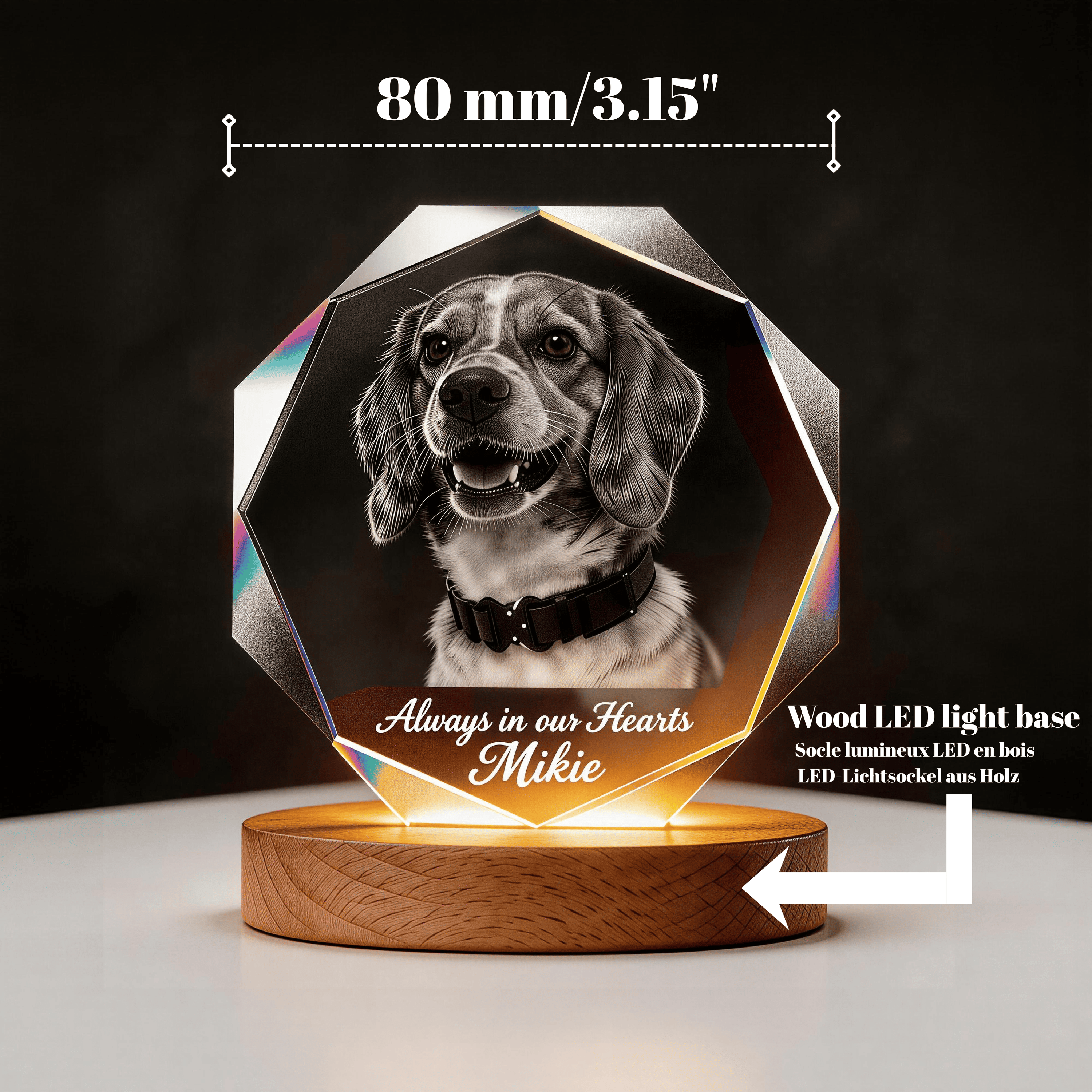 personalised dog Memorial Gift 3D K9 crystal frame 3