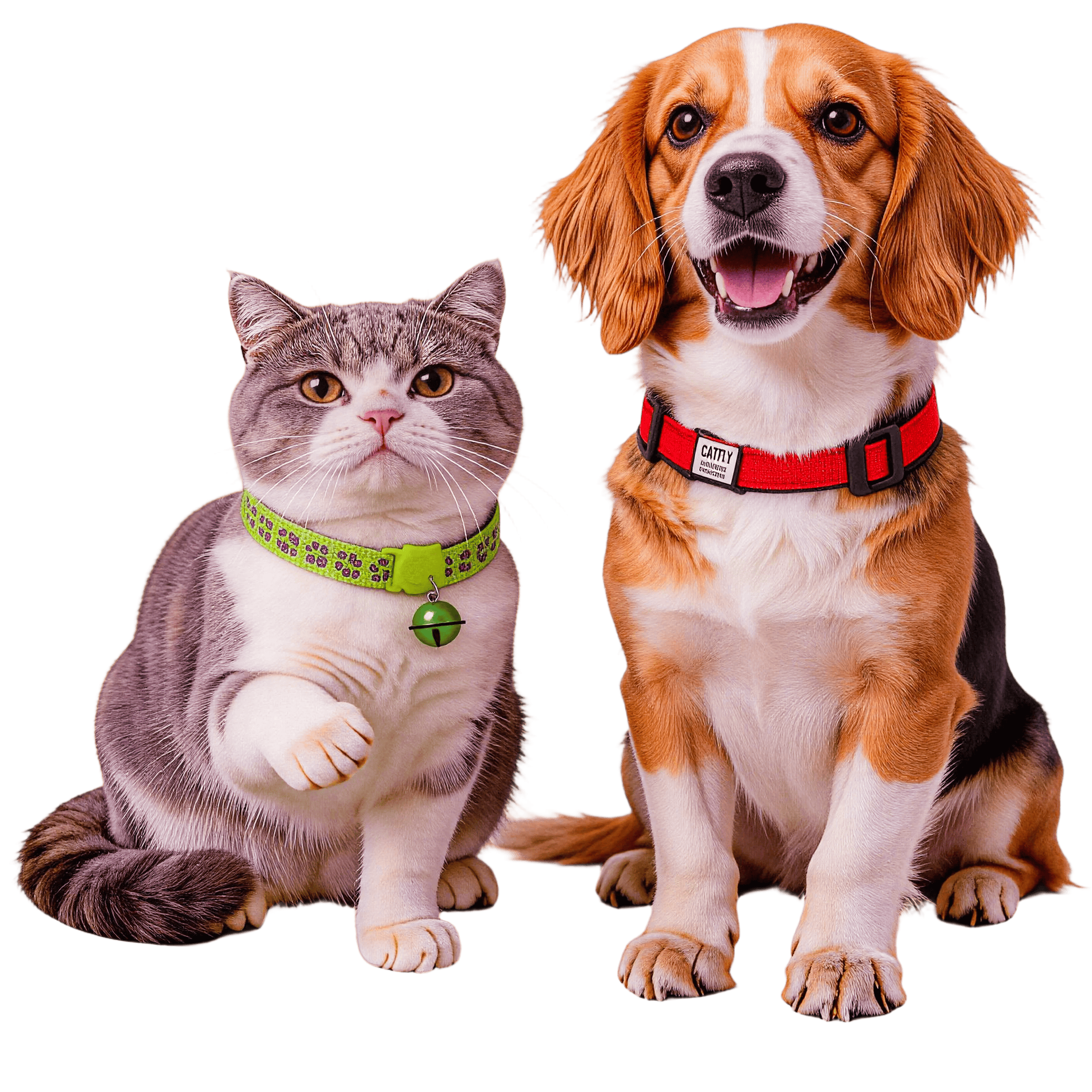 PawsPause pet supplier, pet supplie online store